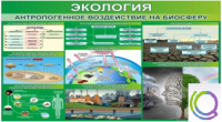Стенд "Экология. Антропогенное воздействие на биосферу" - «globural.ru» - Краснодар
