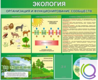 Стенд "Экология. Организация и функционирование сообществ" - «globural.ru» - Краснодар