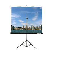 Проекционный экран на штативе Lumien Eco View (LEV-100105) 160x160 см - «globural.ru» - Краснодар
