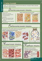 Биология 8-9 класс. Человек. (комплект таблиц) - «globural.ru» - Краснодар