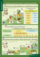 Биология 10-11 класс. Эволюционное учение (комплект таблиц) - «globural.ru» - Краснодар