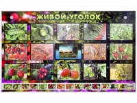 Комплект оборудования "Живой уголок" (растения) с тифлопереводом и сурдокомментариями - «globural.ru» - Краснодар