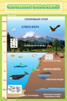 Стенд "Строение биосферы" - «globural.ru» - Краснодар