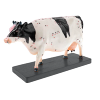Электрифицированный макет коровы на каркасе - «globural.ru» - Краснодар