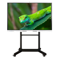 Интерактивный комплекс Geckotouch ​​​​​​​65RK - «globural.ru» - Краснодар