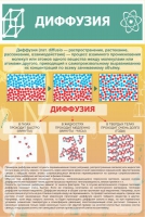 Стенд "Диффузия" - «globural.ru» - Краснодар