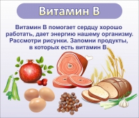 Стенд "Витамин В" - «globural.ru» - Краснодар
