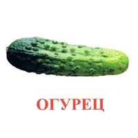 Карточки Домана "Овощи-Зелень-1" - «globural.ru» - Краснодар