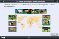 Интерактивные курсы. Биология 7 класс. Расширенный - «globural.ru» - Краснодар