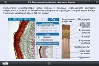 Интерактивные курсы. Биология 5 класс. Расширенный - «globural.ru» - Краснодар