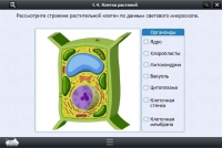Интерактивные курсы. Биология 9 класс. Расширенный - «globural.ru» - Краснодар