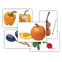 Набор предметных картинок "Овощи. Музыкальные инструменты" - «globural.ru» - Краснодар