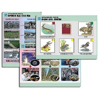 Комплект таблиц для  начальной школы "Окружающий мир. Экология" - «globural.ru» - Краснодар