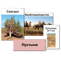 Модель-аппликация "Природные зоны России" - «globural.ru» - Краснодар