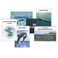 Модель-аппликация "Океаны. Знакомство" (ламинированная) - «globural.ru» - Краснодар