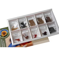 Коллекция "Плоды сельскохозяйственных растений" (вариант 2) - «globural.ru» - Краснодар