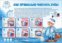 Стенд "Как правильно чистить зубы" - «globural.ru» - Краснодар