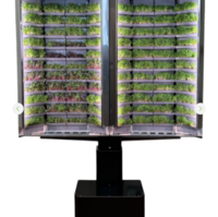 Вертикальная  ферма «Моя микрозелень» комплектация  «Театро настенная» - «globural.ru» - Краснодар