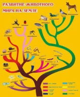 Стенд "Развитие животного мира на земле" - «globural.ru» - Краснодар
