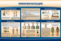Стенд "Иммобилизация" - «globural.ru» - Краснодар