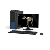 Макет масштабный «Скелет Коровы» Масштаб 1:2 - «globural.ru» - Краснодар