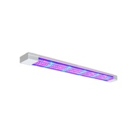 Фитолампа - «globural.ru» - Краснодар