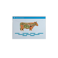 Стенд-планшет светодинамический "Изучение нервной системы сельскохозяйственных животных" со сменными панелями - «globural.ru» - Краснодар