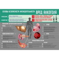 Стенд "Алкоголь" - «globural.ru» - Краснодар