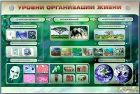 Электрифицированный стенд "Уровни организации жизни" - «globural.ru» - Краснодар