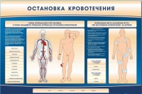 Электрифицированный стенд-тренажер "Остановка кровотечения" - «globural.ru» - Краснодар