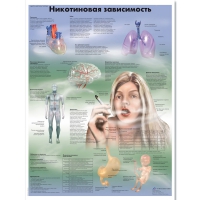 Плакат "Никотиновая зависимость", ламинированный, 50*67 см - «globural.ru» - Краснодар