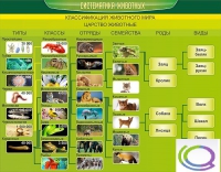 Стенд "Систематика животных" - «globural.ru» - Краснодар
