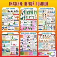 Стенд "Оказание первой помощи" - «globural.ru» - Краснодар