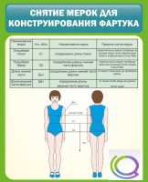 Стенд "Снятие мерок для конструирования фартука" - «globural.ru» - Краснодар