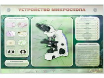 Электрифицированный стенд "Устройство микроскопа и правила работы c ним" - «globural.ru» - Краснодар