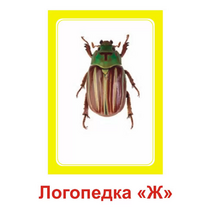 Логопедка "Ж" (логопедические карточки) - «globural.ru» - Краснодар