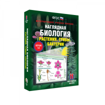Наглядная биология. Растения. Грибы. Бактерии - «globural.ru» - Краснодар
