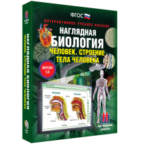 Наглядная биология. Человек. Строение тела человека - «globural.ru» - Краснодар