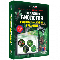 Наглядная биология. Растение - живой организм - «globural.ru» - Краснодар