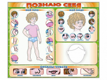 Стенд маркерный "Познаю себя" (тело, голова, органы чувств) - «globural.ru» - Краснодар