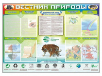 Стенд-уголок "Вестник природы" (вариант 1) - «globural.ru» - Краснодар