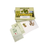 Гербарий "Для начальной школы" (30 видов, с иллюстрациями) - «globural.ru» - Краснодар