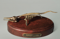 Модель скелета ихтиозавра Ichthyosaurus - «globural.ru» - Краснодар