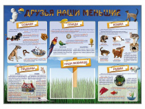 Стенд-уголок "Друзья наши меньшие" - «globural.ru» - Краснодар
