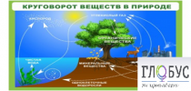 Стенд "Круговорот веществ" - «globural.ru» - Краснодар