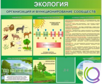 Стенд "Экология. Организация и функционирование сообществ" - «globural.ru» - Краснодар