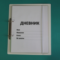 Дневник школьника (с полным набором карточек) - «globural.ru» - Краснодар