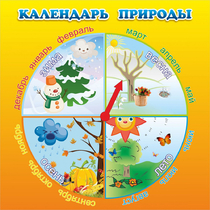 Стенд "Календарь природы" 0.5x0.5 - «globural.ru» - Краснодар