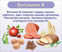 Стенд "Витамин В" - «globural.ru» - Краснодар