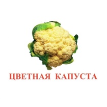Карточки Домана "Овощи-Зелень-2" - «globural.ru» - Краснодар